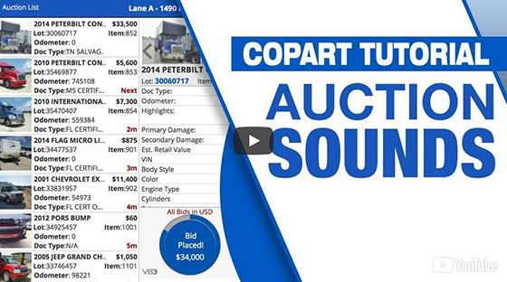 Copart auction Sounds video